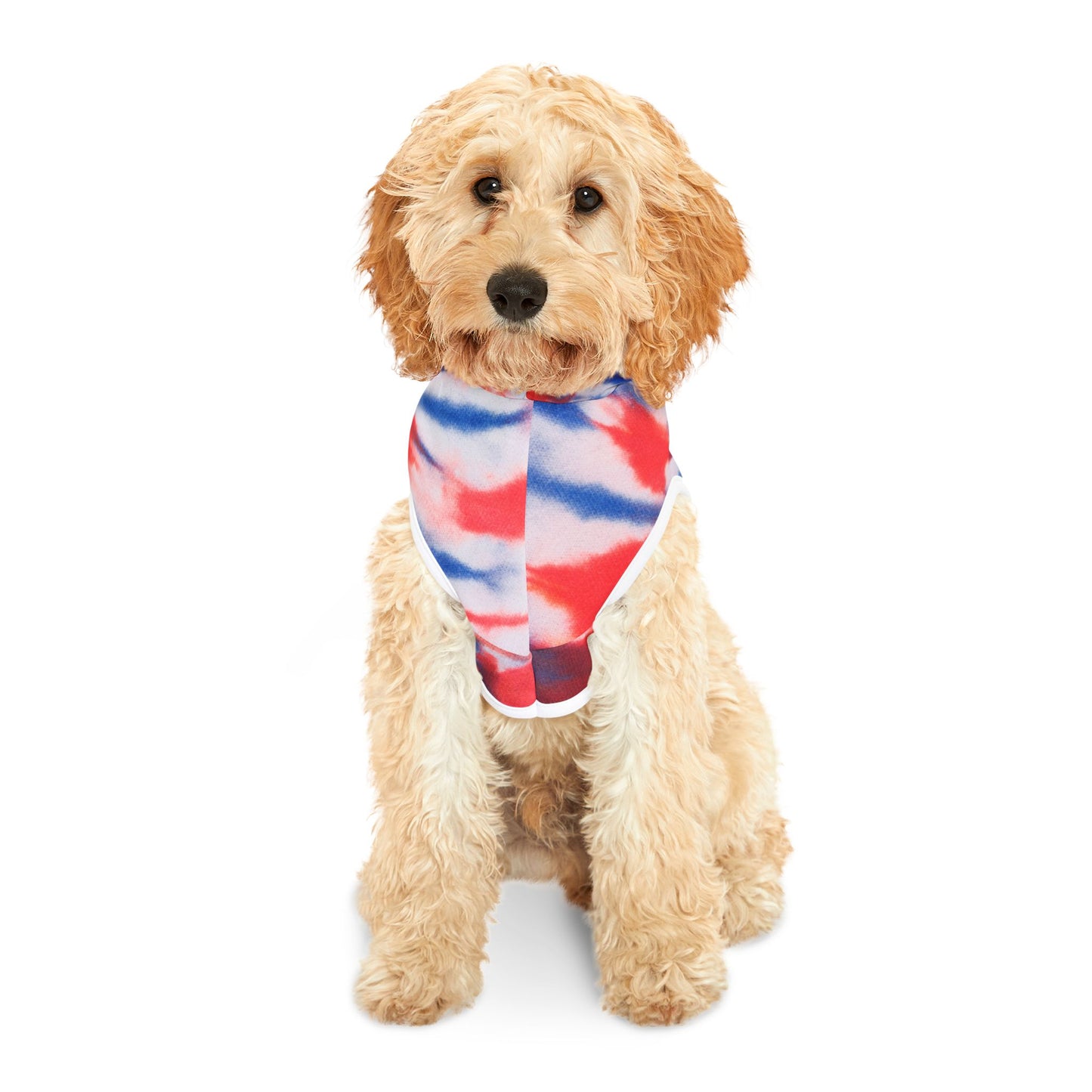 Pet Hoodie