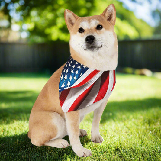 Pet Bandana Collar